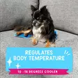 Viilennysmatto Premium Gel Cooling mat sininen CoolPets - Koiran viilentävät tuotteet - 047561 - 5
