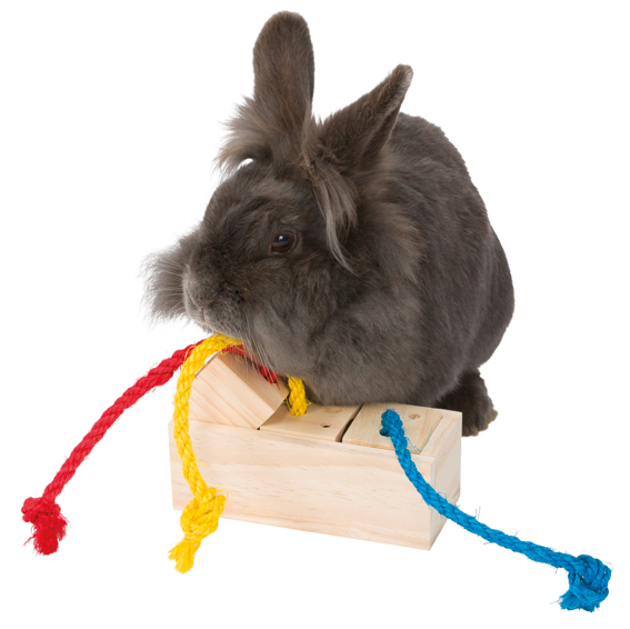 Aktivointilaatikot naruilla 16x6x7cm puu - Pieneläinten lelut ja puuhasteltavat - 012641 - 1