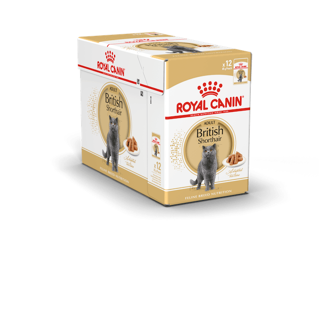 British Shorthair Adult Gravy 12x85g kastike Royal Canin - Aikuisten kissojen säilykkeet - 005841 - 4