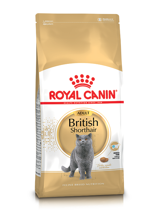British Shorthair Adult Royal Canin - Kissan kuivaruoat aikuisille kissoille - 000491 - 1