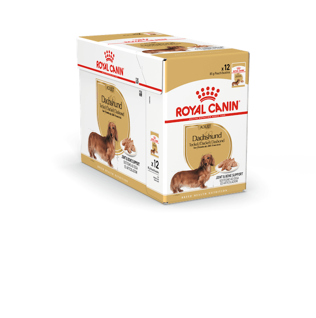 Dachshund Adult loaf 12x85g mureke Royal Canin - Koiran säilykkeet aikuisille koirille - 018681 - 2