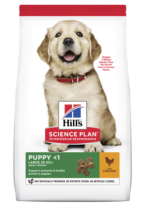 Dog Puppy Large Breed Chicken 14,5kg Hill's Science Plan - Kuivaruoat pennuille ja kasvatukseen - 016581 - 1