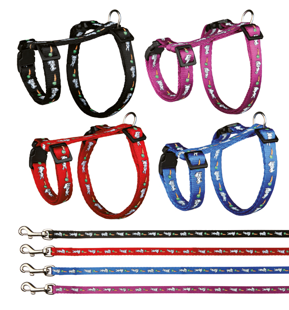 Kanin valjasetti S 25-44cm + talutin 1,25m kanikuvio väri mix Trixie - Pieneläinten ulkoilu ja kuljetus - 010281 - 1