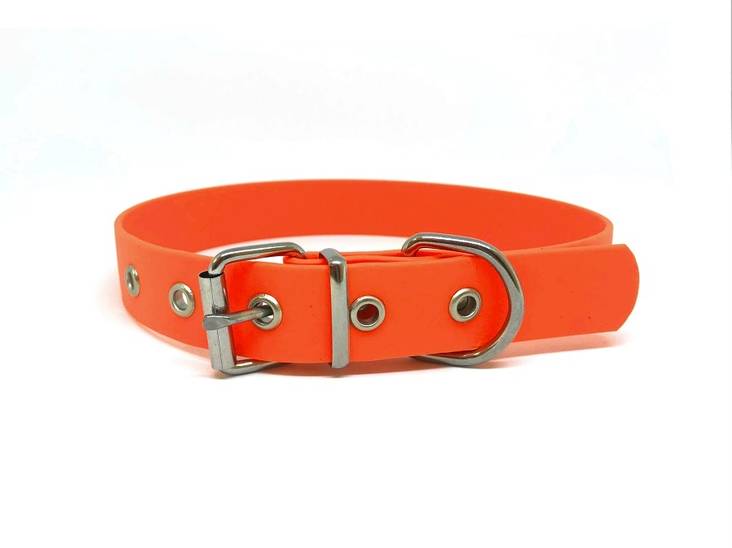 Kaulapanta BioThane leveys 25mm oranssi Onega - Koiran solkipannat - 033201 - 1