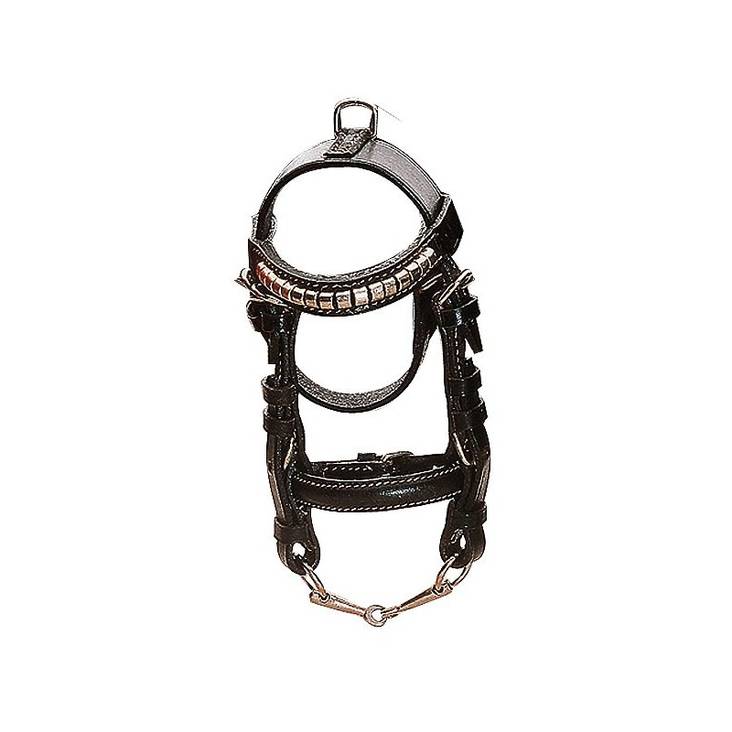 Koristesuitset nahkaa 14cm Norton Club - Koti ja sisustus - 019111 - 1