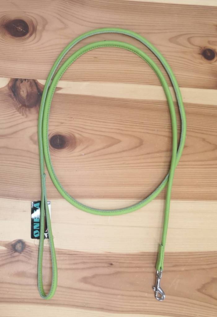 Nahkatalutin pyöreä 4mm/180cm pistoolilukolla vaaleanvihreä Onega - Koiran nahkataluttimet - 033791 - 1