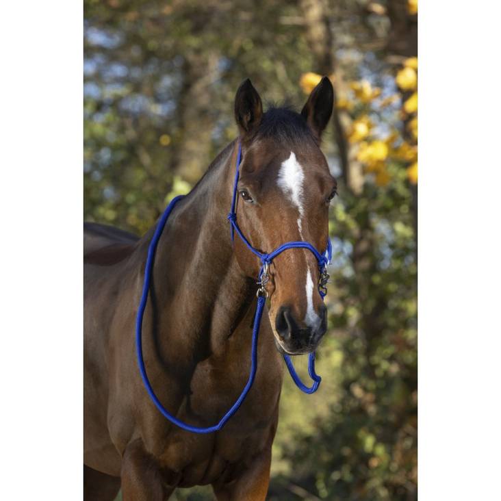 Naruriimu+naru Ethological Full sininen Norton - Hevosen nylonriimut - 029271 - 1