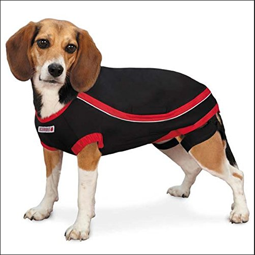 Painepaita KONG - Koiran feromonit ja rauhoittavat - 000481 - 1