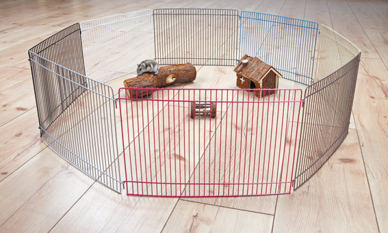 Pieneläinaitaus 33x23cm 8-palaa värikäs Trixie - Pieneläinten häkit ja aitaukset - 007811 - 1