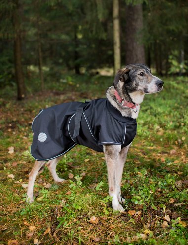 Sadetakki musta Janutex - Koiran manttelit - 002821 - 1