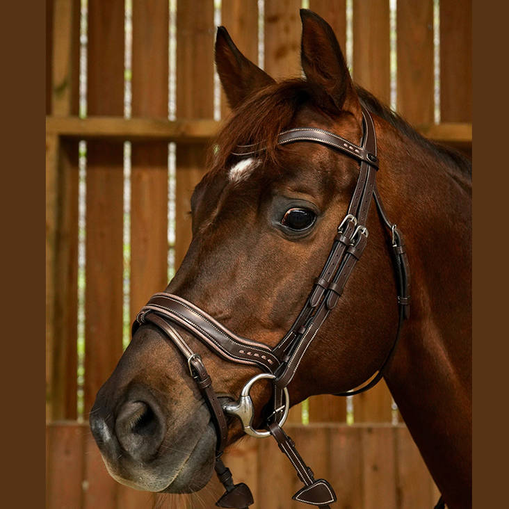 Suitset Working fit Ruskea Dyon - Ratsuhevosen suitset ja turpahihnat - 024621 - 1