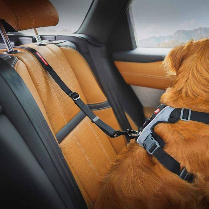Turvavyöliitin Isofix L 61-101cm Ezydog - Koiran turvavaljaat ja liittimet - 038121 - 1