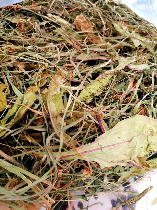 Voikukka 150g Tarmo Kosonen - Pieneläinten heinät ja korsirehut - 023091 - 1