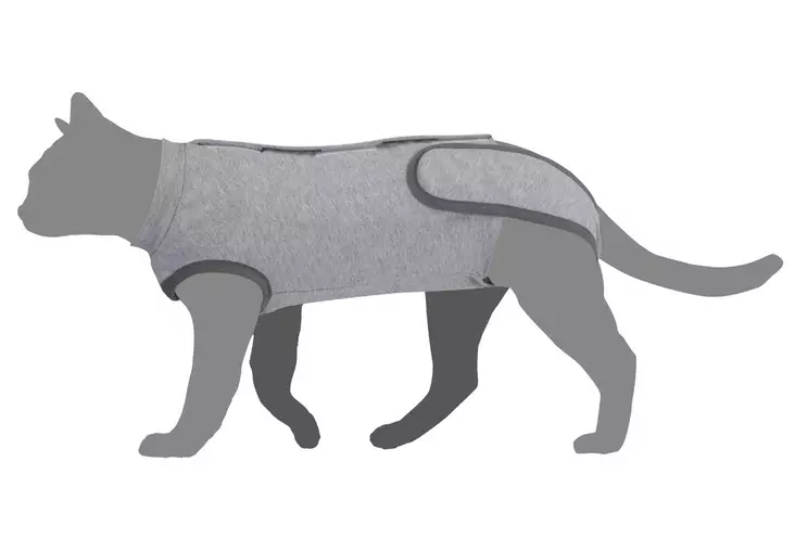 Toipilaspaita kissalle Camon - Kissan kaulurit ja suojapuvut - 046131 - 1