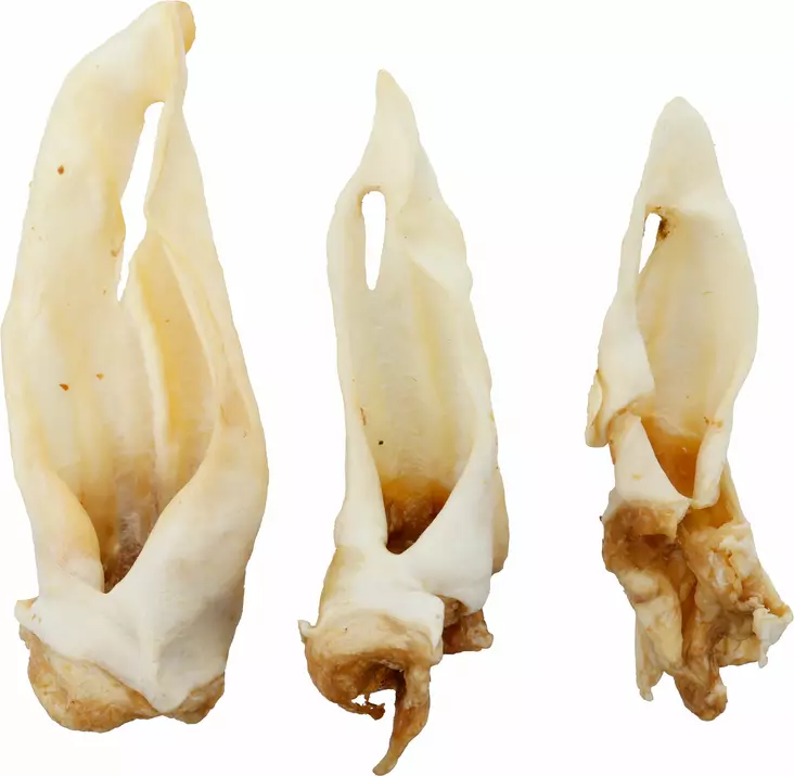 Lampaan korva 200g Snacks Nature Flamingo - Koirien puruluut - 056481 - 1