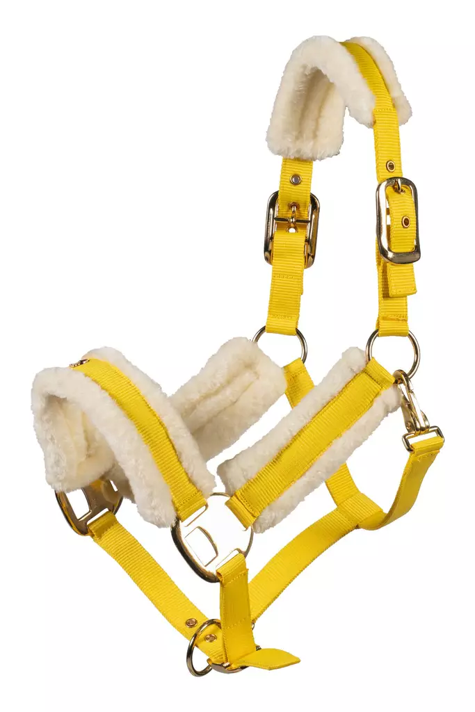 Nylonriimu Limone Elegant pehmustettu lemon Lauria Garrelli - Hevosen nylonriimunarut - 056891 - 1