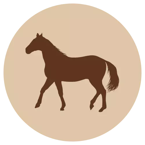 Hevonen jauhettu 500g luuton Fanimal - Koiralle pakastelihat ja -elimet - 044971 - 1