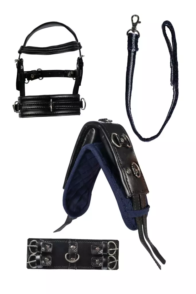 Kapsonisetti Cuddle Pony HKM-sports - Koti ja sisustus - 057761 - 1