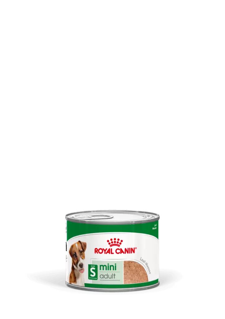 MINI Adult Loaf 195g mureke Royal Canin - Koiran säilykkeet aikuisille koirille - 047451 - 1