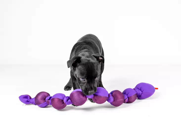 Pehmokäärme Snala Snake Emoji Purple L Flamingo - Koiran pehmolelut - 051511 - 1