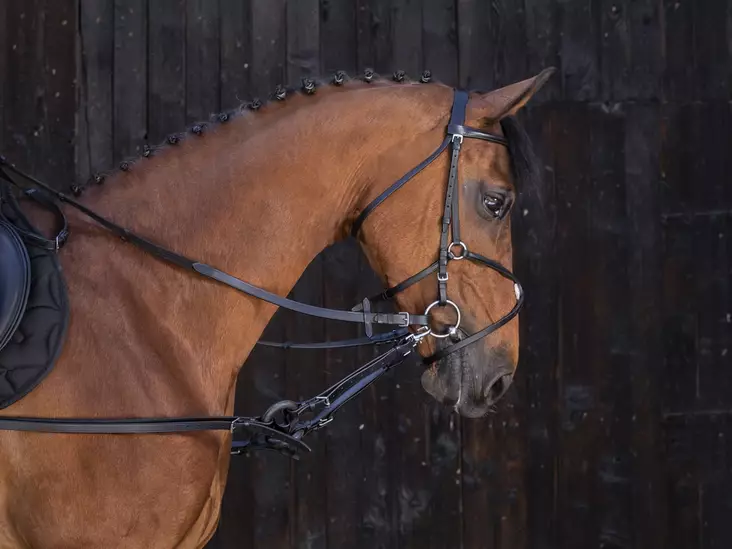 Sivuohjat nahkaa kumirenkaalla Riding World - Ratsuhevosen ohjat ja apuohjat - 051031 - 1