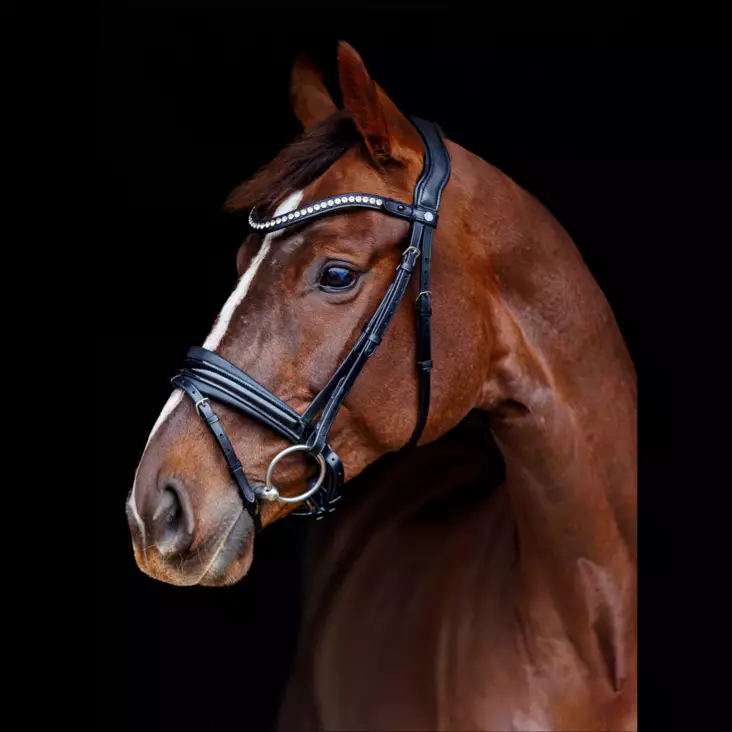 Suitset Marzog Limited Edition Anniversary FULL musta SD Design - Ratsuhevosen suitset ja turpahihnat - 051911 - 1