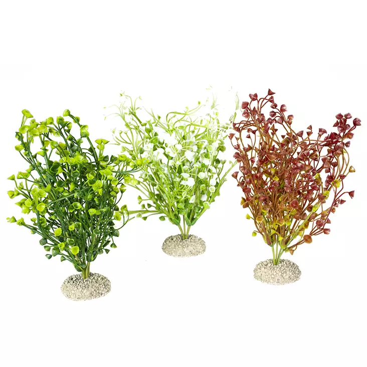 Tekokasvi Bacopa värimix M 25cm Aqua Della - Akvaarion tarvikkeet ja hiekat - 047271 - 1