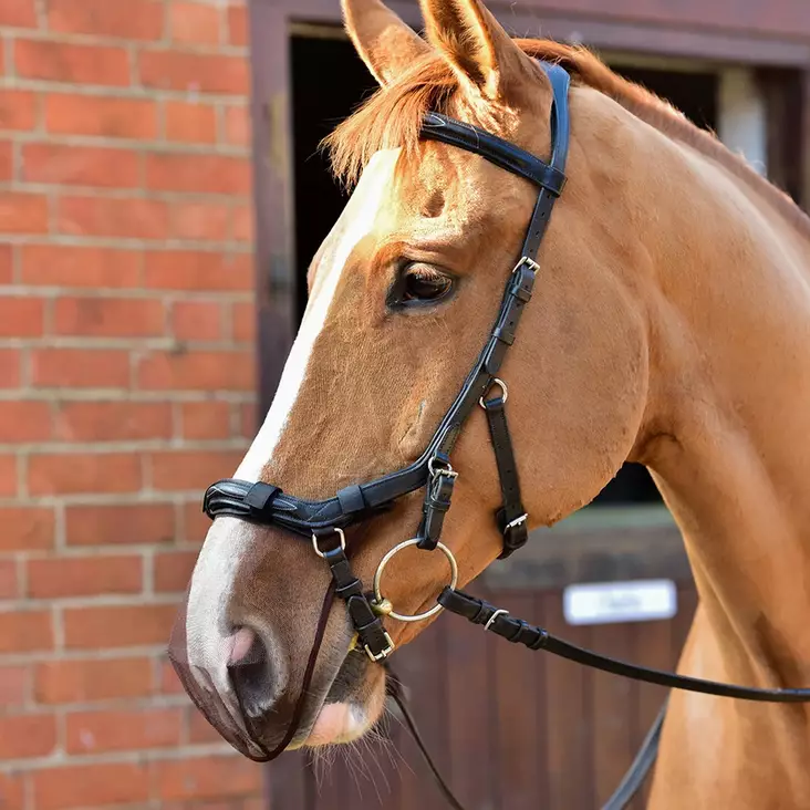Turpaverkko Net Relief Muzzle Net anatomisiin turpahihnoihin M/L musta Equilibrium - Ratsuhevosen suitset ja turpahihnat - 048451 - 1