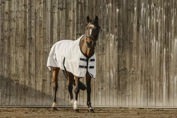 UV-suojaloimi 70% PVC verkkoa valkoinen Equitheme - Hevosen hyönteis- ja UV-loimet - 051661 - 1