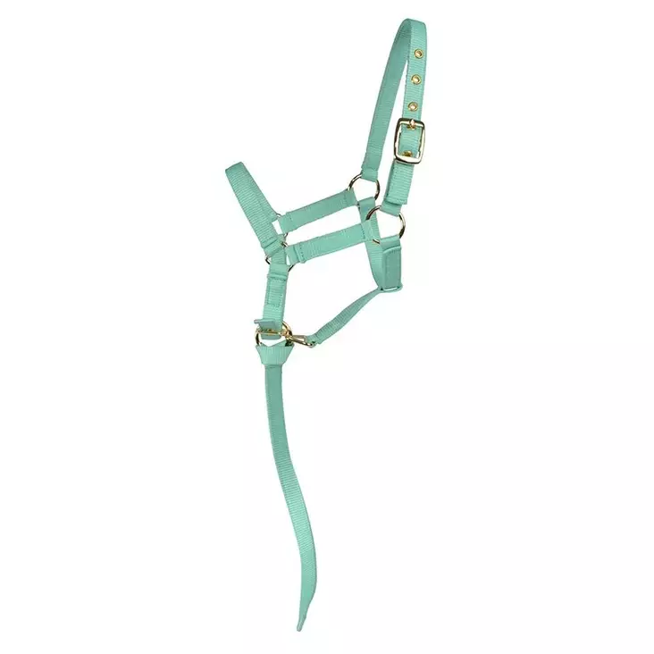 Varsariimu Basic minttu Hansbo Sport - Hevosen nylonriimut - 051851 - 1