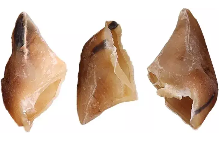 Vasikan kynsi 45g KPL Snacks Nature Flamingo - Koirien puruluut - 056241 - 1