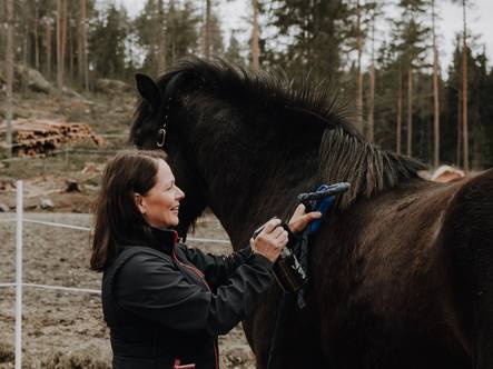 ArcticSpray 500ml hoitosuihke ArcticVet - Hevosen ihonhoitoaineet - 014342 - 2