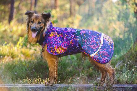 ToppaPomppa Cosmos - Koiran manttelit - 030732 - 2