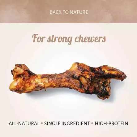 Hevosen ydinluu Marrow Bone 40x16cm kuiva Antos - Koirien puruluut - 057152 - 2