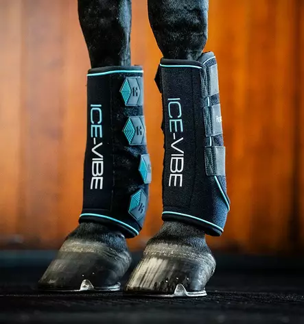 Ice - Vibe hoito- ja hierontasuojat 2kpl musta Horseware - Hevosen säärisuojat - 056342 - 1