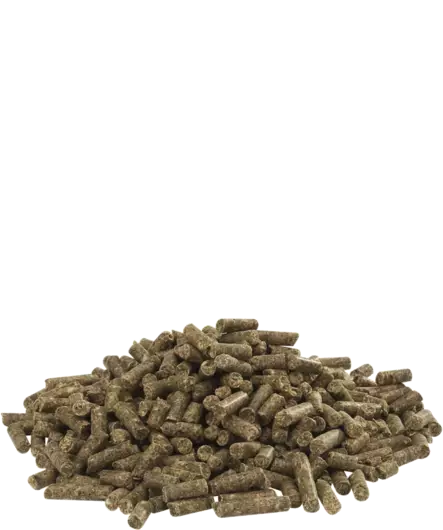 Kaninpelletti Cuni SENSITIVE 20kg Versele Laga - Kanin ruoka - 055152 - 2