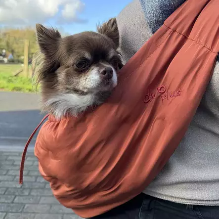 Kantokassi Trail Orange 50x45x20cm Duvo+ - Koiran pyöräkorit ja kantokassit - 054262 - 2