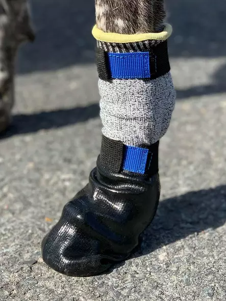 Koiran tossut MAX Protect Bootie HIGH 4 kpl musta V.I.P Dogwear - Koiran tossut, sukat ja korvasuojat - 056112 - 2