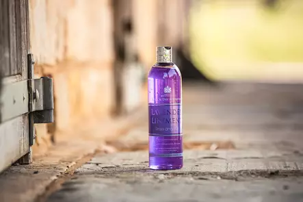 Lavender laventelilinimentti 500ml Carr & Day & Martin BB06/26 - Linimentit ja pliisterit hevoselle - 032392 - 2