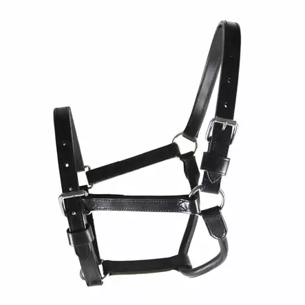 Nahkariimu 25mm musta GP-Tack - Hevosen nahkariimut ja narut - 048662 - 2