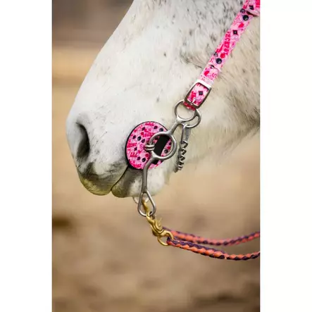 Neopreenitutit 2kpl Jackpot pinkki Schulz Equine - Kuolaintarvikkeet ja lisäosat - 056642 - 1