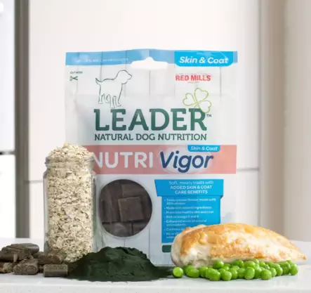 Nutri Vigor Skin & Coat Chicken 130g Leader - Koirien funktionaaliset makupalat - 033702 - 2