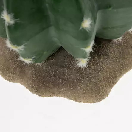 Tekokaktus Echinocactus 2 Green Terra Della - Terraarion tarvikkeet ja kuivikkeet - 059432 - 2