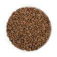 Adult Cat Sensitive Sterilised Grain Free Salmon & Turkey ERA - Kissan kuivaruoat aikuisille kissoille - 038382 - 3