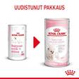 Babycat Milk Starter Royal Canin - Kissan juomat - 000762 - 2