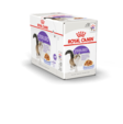 Indoor Sterilised Jelly 12x85g hyytelö Royal Canin - Aikuisten kissojen säilykkeet - 018532 - 4