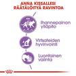 Indoor Sterilised Jelly 12x85g hyytelö Royal Canin - Aikuisten kissojen säilykkeet - 018532 - 6