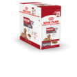 MEDIUM Ageing 10+ Gravy 10x140g kastike Royal Canin - Koiran säilykkeet ikääntyville koirille - 011842 - 2