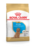 Poodle Puppy 3kg Royal Canin - Kuivaruoat pennuille ja kasvatukseen - 000932 - 1