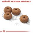 Sterilised Adult MEDIUM 12kg Royal Canin - Koiran kuivaruoat aikuisille koirille - 033002 - 3